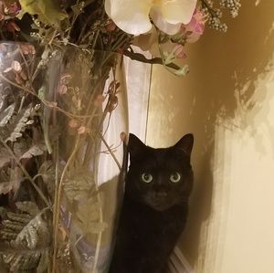 Meet your Posher, Annie